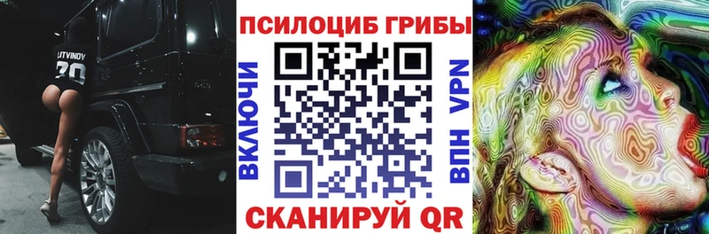 Купить  Одинцово  Псилоцибиновые грибы Magic Shrooms 